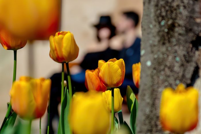 shooting photos couple Albi Tarn amoureux se faire plaisir mjphotographers.com jean-luc legros mj photographie misterJ