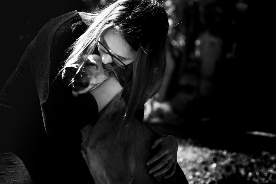 photographe-toulouse-animaux