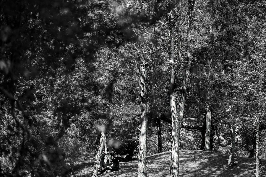 photographe mariage labege toulouse seance engagement haute-garonne amoureux se faire plaisir mjphotographers.com jean-luc legros mj photographie misterJ