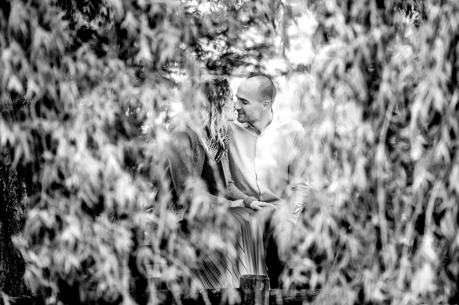 balade couple tarn parc mjphotographers.com